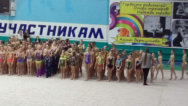 Чемпионат РО по худож. гимнастике